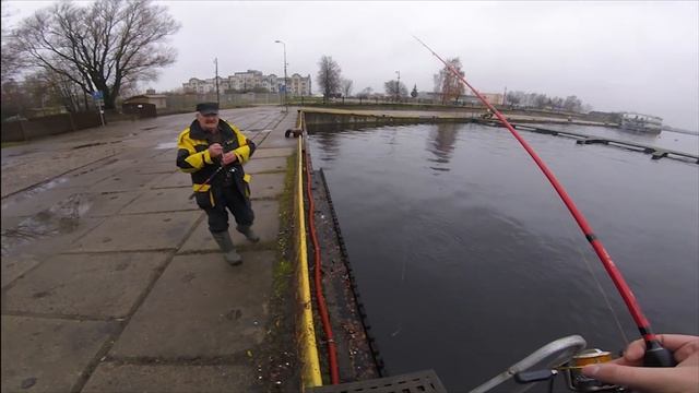 ДРОП ШОТ оснастка в городских 