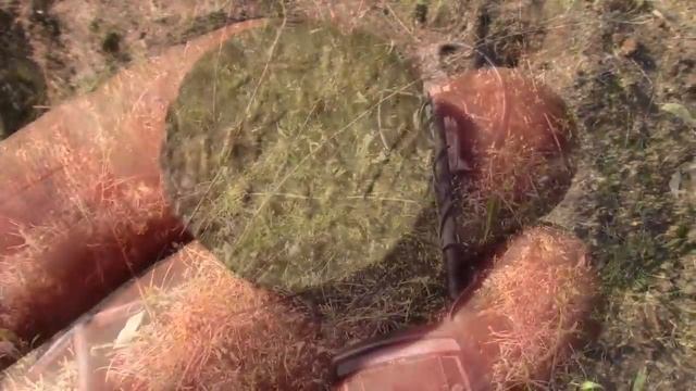 Нашли постоялый двор! Золото, Серебро и... смотреть онлайн