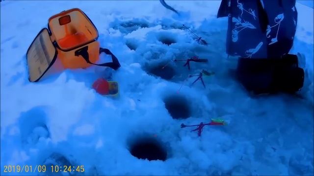 рыбалка на Сухом море 9.01.19 смотреть онлайн