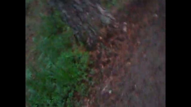 МОЯ РОДИНА ТЫ ВО МНЕ смотреть онлайн