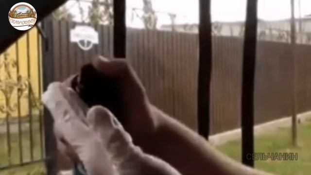 Полезный лайфхак. Что делать если потеют окна? смотреть онлайн