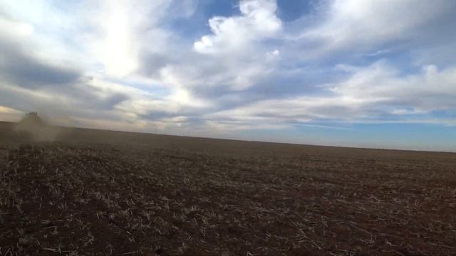 Прямой посев озимого рыжика по предшественнику овёс. смотреть онлайн