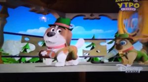 Дружные Мопсы Йодль