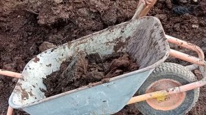 Осеннее внесение навоза в грунт под клубнику ! Ферма с нуля