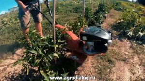 Культиваторы Eurosystems серия Z2