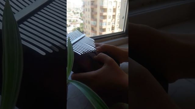 Kalimba | Gravity Falls song смотреть онлайн