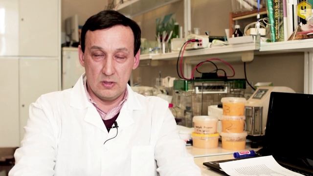 Химия и генетика гигиенического поведения пчёл смотреть онлайн