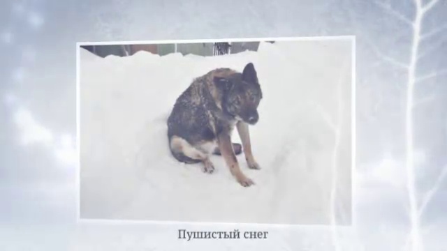 Зимняя страна чудес. Видео из фото. смотреть онлайн