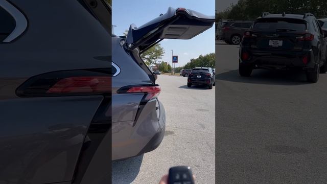 Toyota sienna 2021 hybrid trunk door works like shit :( смотреть онлайн