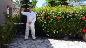 Цигун и тайцзи (тайцзицюань) для начинающих.  Наматывание шелковой нити. Урок 3