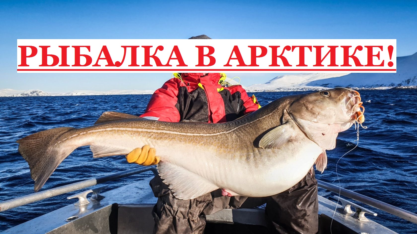 Треска на спининг на Белом море! смотреть онлайн