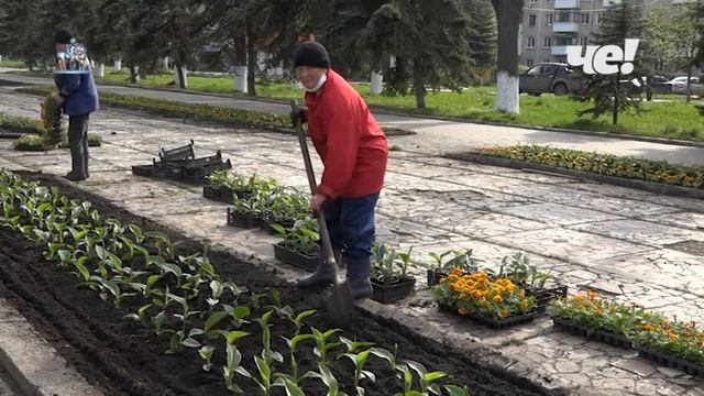 Высадка цветов на городские клумб смотреть онлайн