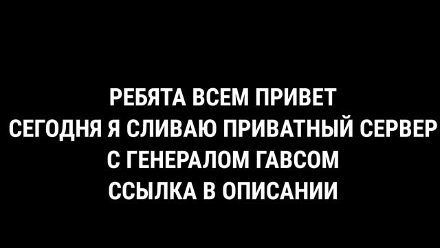 ПРИВАТНЫЙ СЕРВЕР С ГЕНЕРАЛОМ ГАВСОМ смотреть онлайн