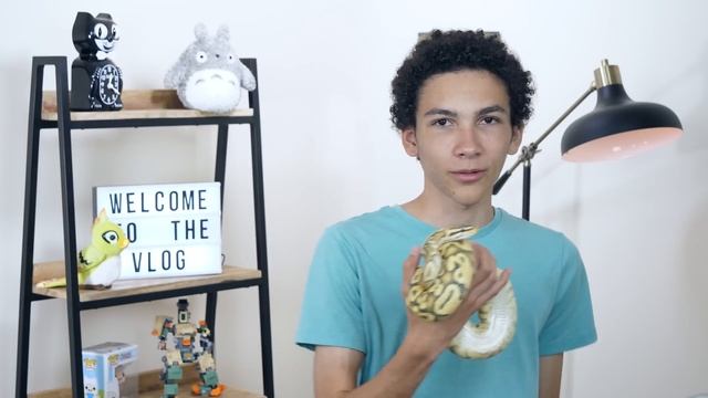 Why Vets Couldn't Cure this Ball Python's Respiratory Infection смотреть онлайн