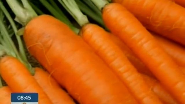 Овощные Соки в Рационе Малыша - Ранок - Інтер смотреть онлайн