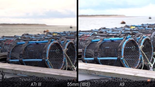 Sony A7r III Vs A9 - 4K Video Comparison