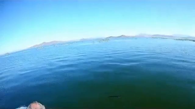 Коктерек №2 Ловим Щуку!!!на белую рыбку. смотреть онлайн