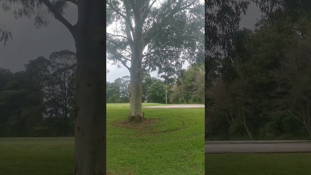 8. Иисус есть любовь. смотреть онлайн