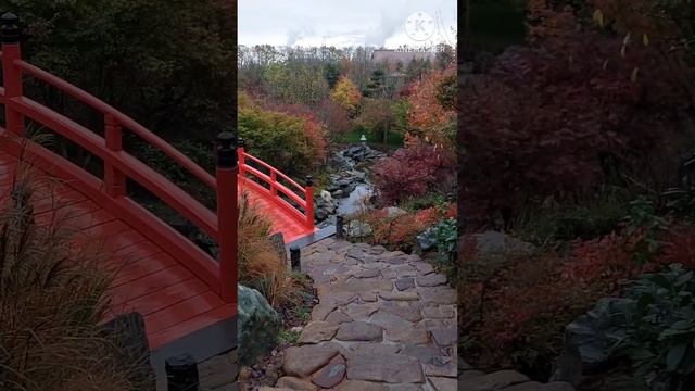 Японский сад в парке Галицкого г. Краснодар. Осенняя прогулка. 16.11.2023