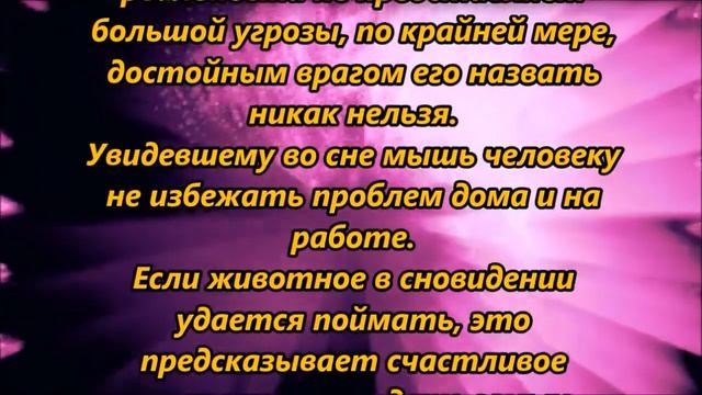 К чему снится мышь, крыса смотреть онлайн
