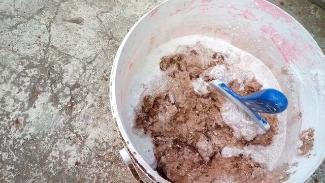 Минеральный камень для попугаев своими руками смотреть онлайн