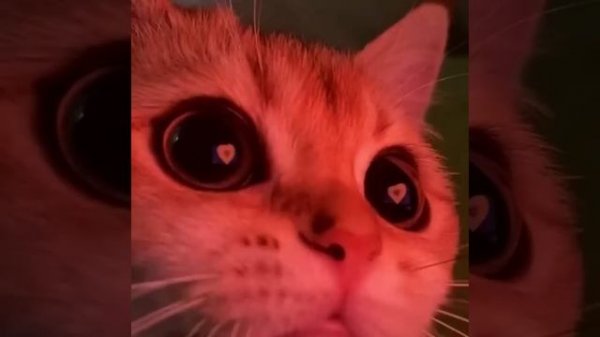 me gustas tu (sped up)