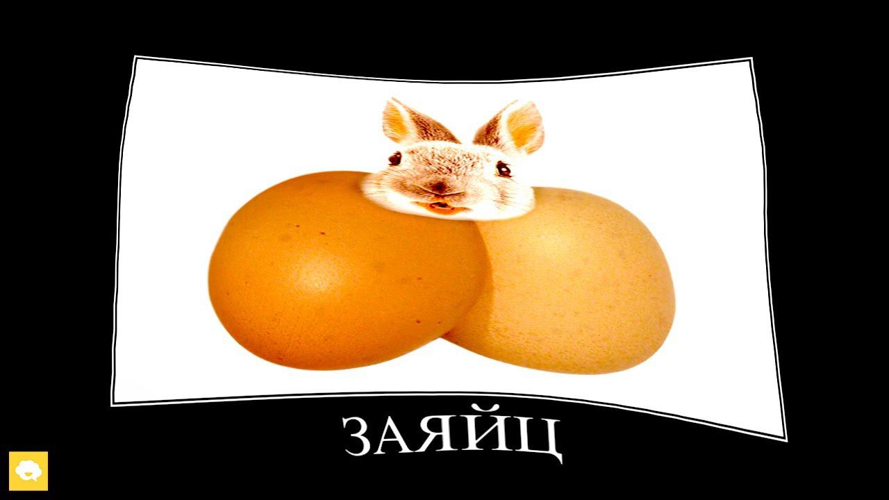 Животные + ШИЗА =