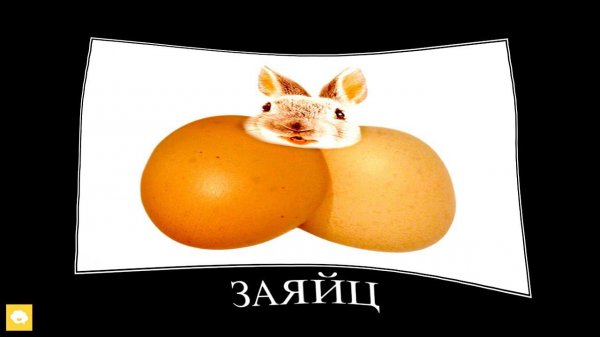 Животные + ШИЗА =