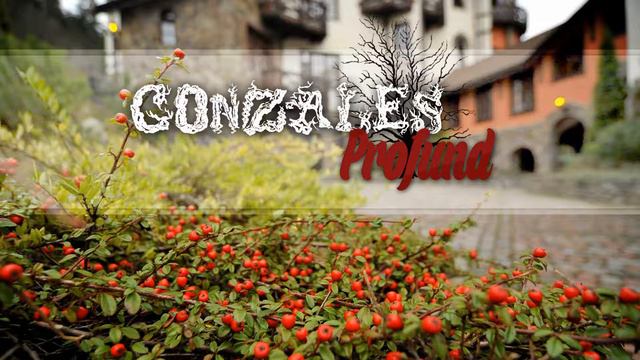 Gonzales-Nu Ma Pot Trezi cu Guvid (Profund) смотреть онлайн