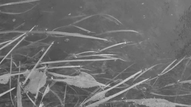 "Пространство памяти" Бамбурин Владимир, Алёна Бамбурина смотреть онлайн