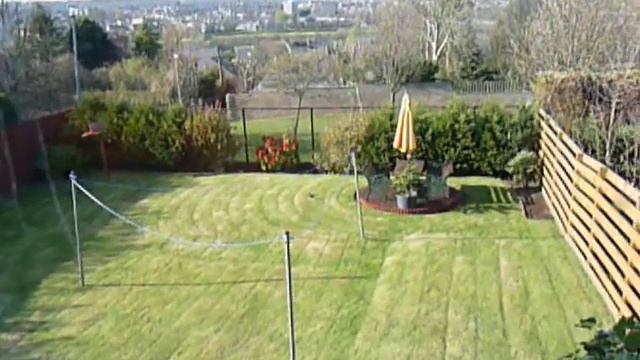 Red Rhododendron смотреть онлайн