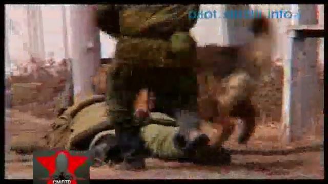 Dogs in Russian army смотреть онлайн