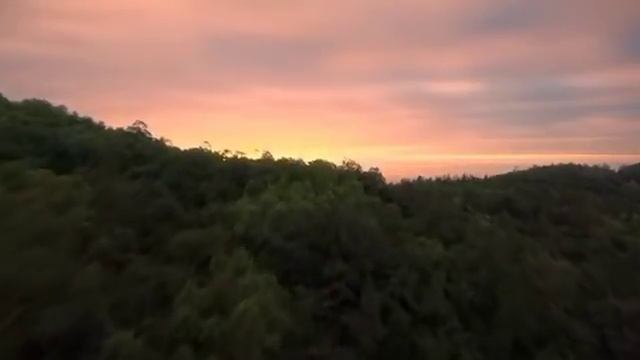 Музыка для релаксации и медитации. Журчание ручьёв. смотреть онлайн