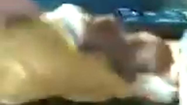 обзор самодельного спинозавра + история названия канала смотреть онлайн