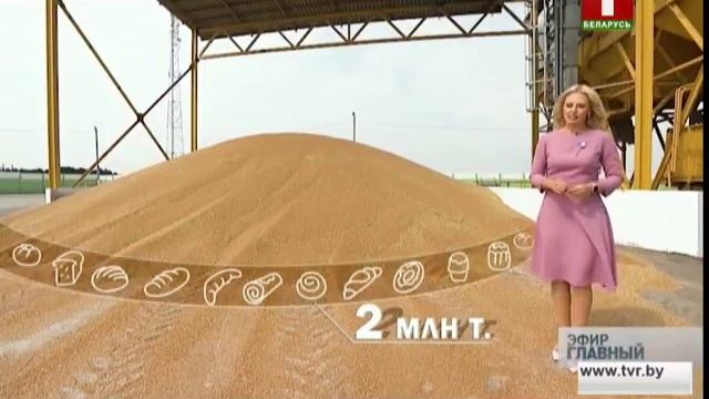 Как правильно распорядиться собранным урожаем? Главный эфир смотреть онлайн