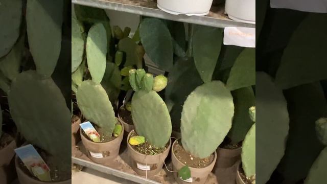 Обзор 21 октября смотреть онлайн