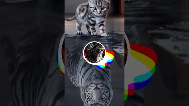 MUTI - Дал Дал Ушел (SWERODO Remix) смотреть онлайн