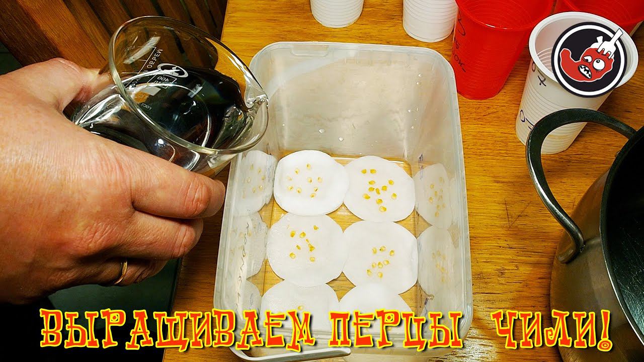 Готовим с Перцем!