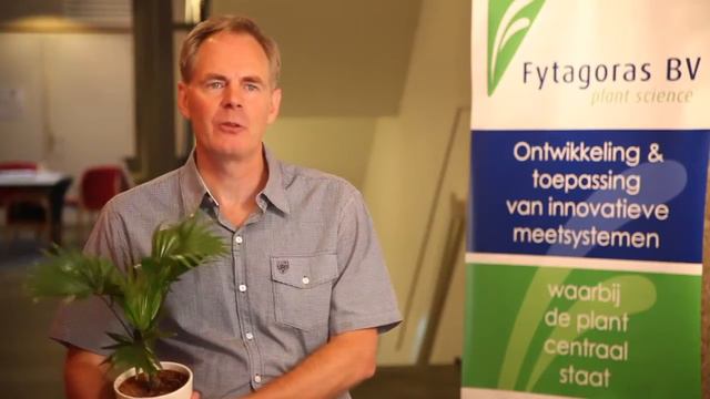 Livistona Bureauplant van het Jaar 2012 смотреть онлайн