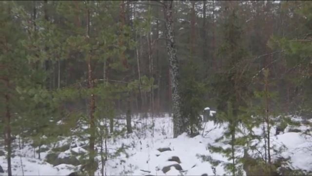 ЗАГОННАЯ ОХОТА В БЕЛАРУСИ 2022 смотреть онлайн