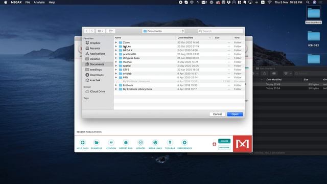 Concatenate sequences in MEGA X смотреть онлайн