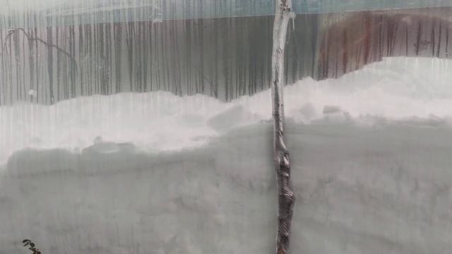 23 января 2022г. Снег и теплица. смотреть онлайн