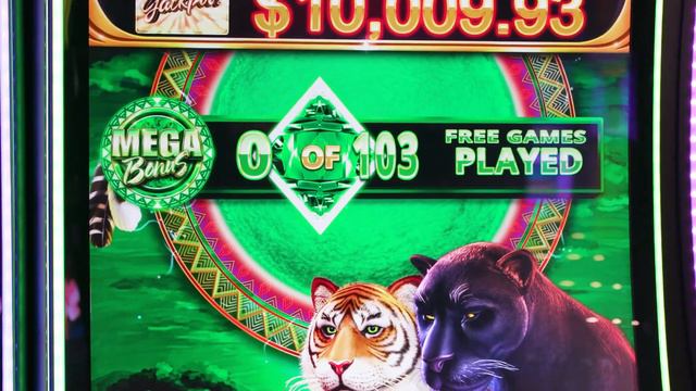 Cats Wild Serengeti™ Video Slots Product Demo Video смотреть онлайн