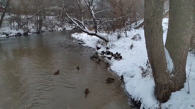 Зимнее морозное утро. смотреть онлайн