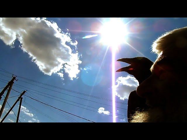 Опять про Истину. смотреть онлайн