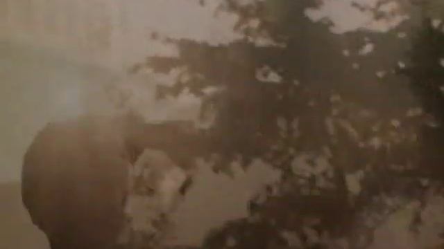 Владислав Галкин. Любим, помним, скорбим... смотреть онлайн