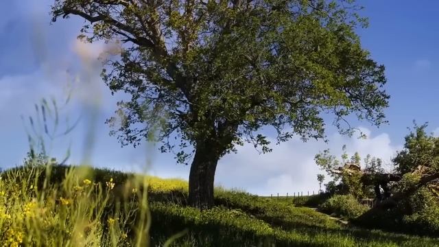 Ушлую тётку попёрли из квартиры, но её поступок сразил наповал... смотреть онлайн