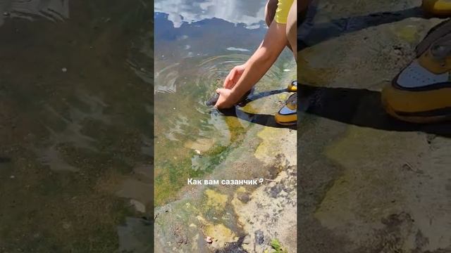 Сазан в Москва реке смотреть онлайн