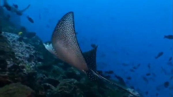 atb-beautiful worlds