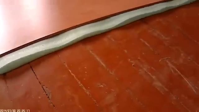 Как нельзя укладывать ламинат. Ламинат на деревянные полы в хрущёвке ,без фанеры смотреть онлайн